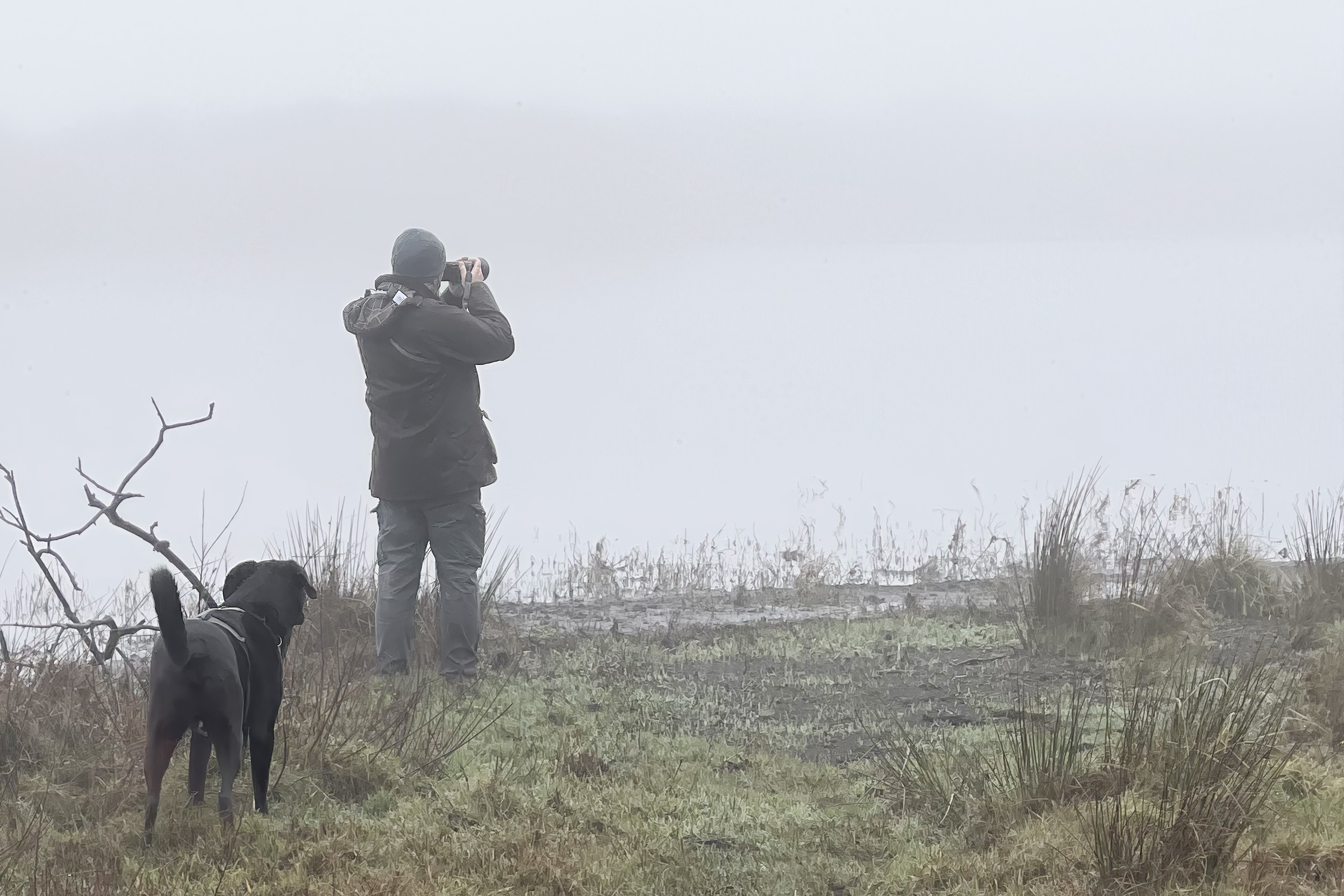 De Slufter und der Nebel